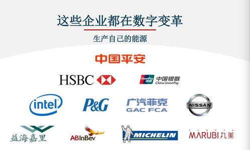 對(duì)標(biāo)Adobe，Nequal如何以數(shù)據(jù)與技術(shù)雙引擎賦能企業(yè)智慧商業(yè)